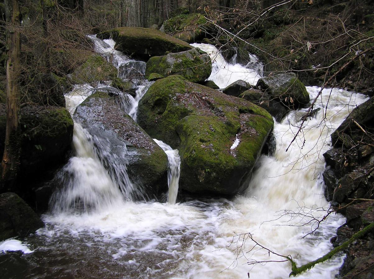 Penzion U Candru Vyšší Brod Exteriör bild